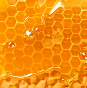 Ferme de miel thaïlandais